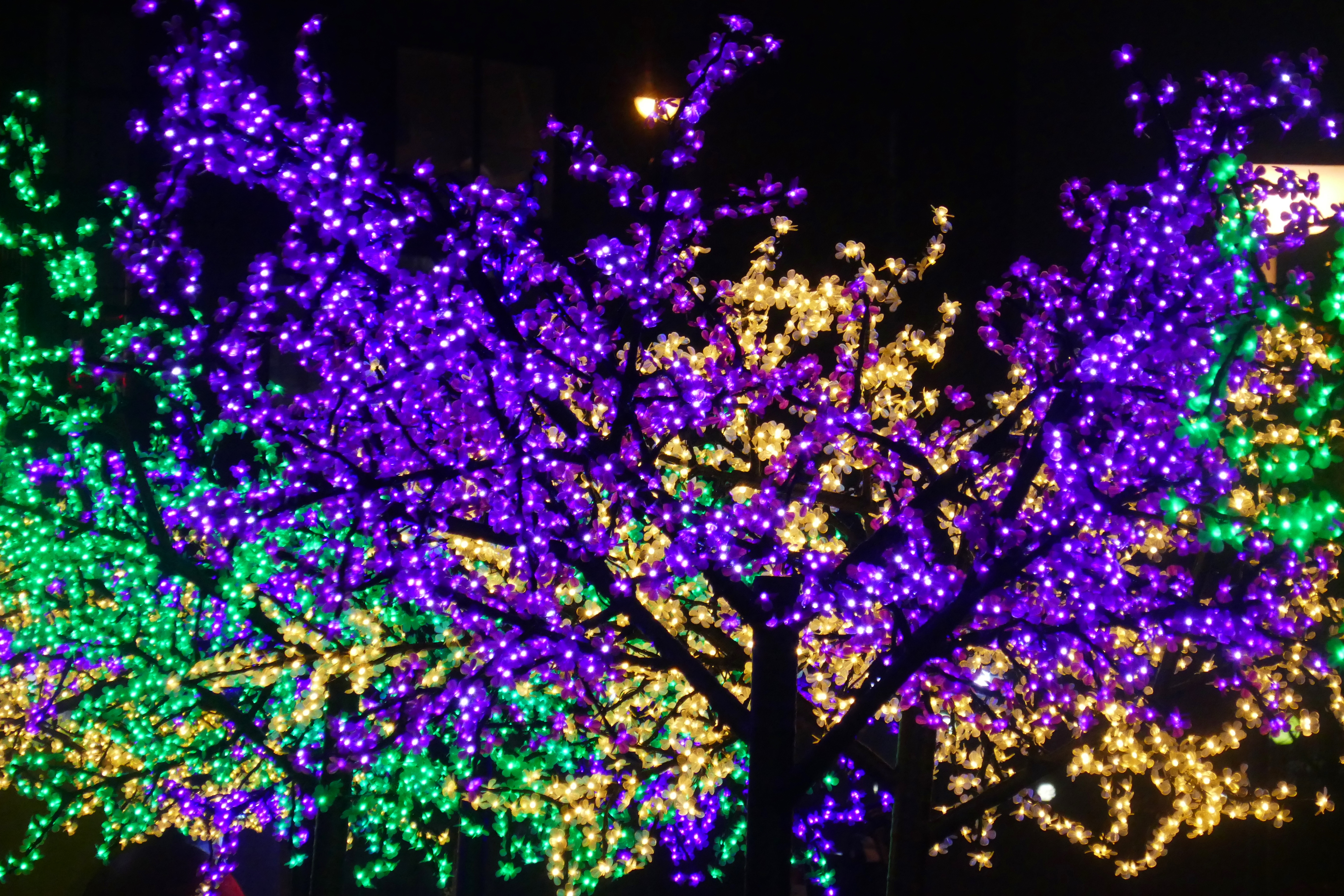 Lightwaves Salford quays 2016 (34).JPG