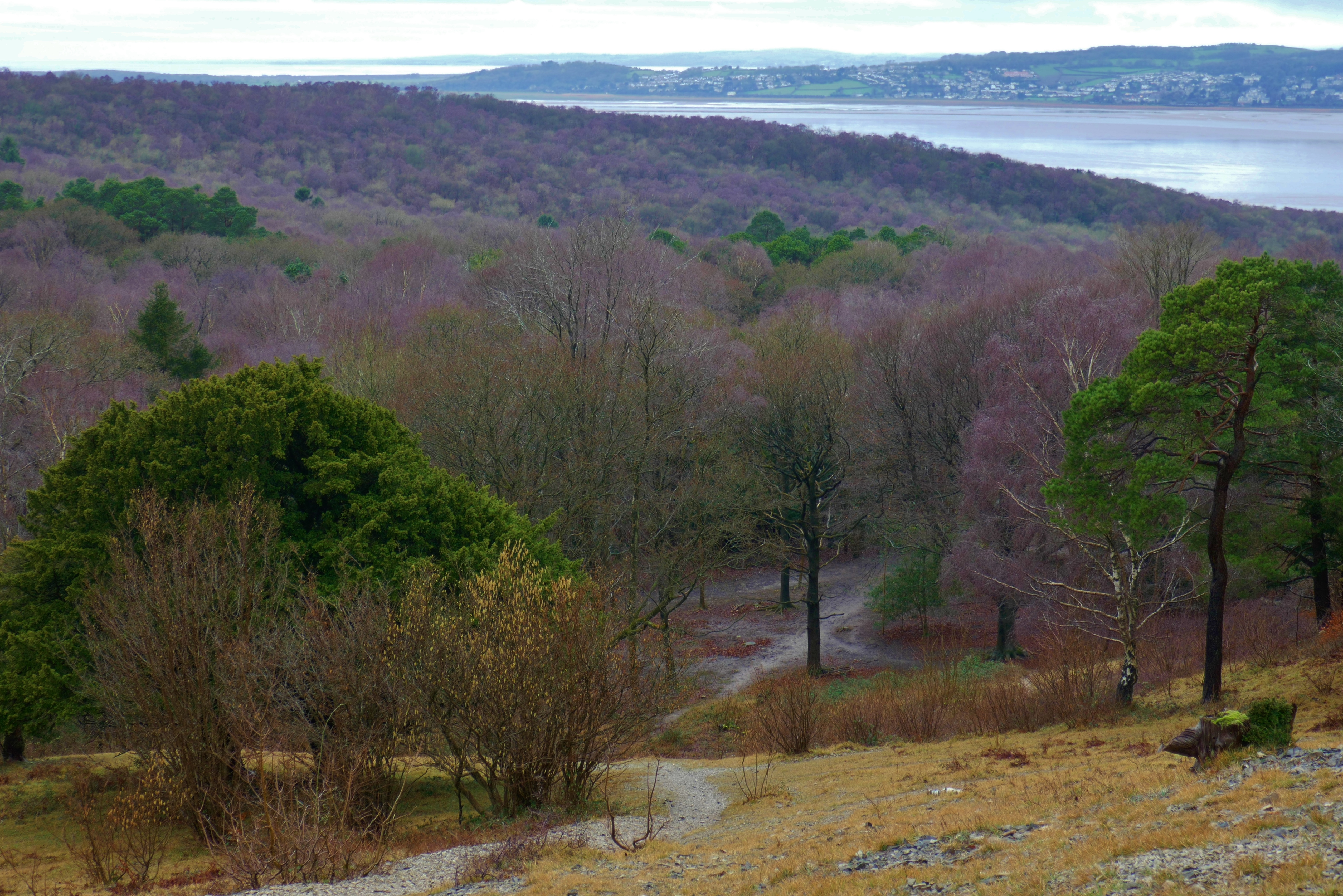 2017 March Silverdale (6).JPG