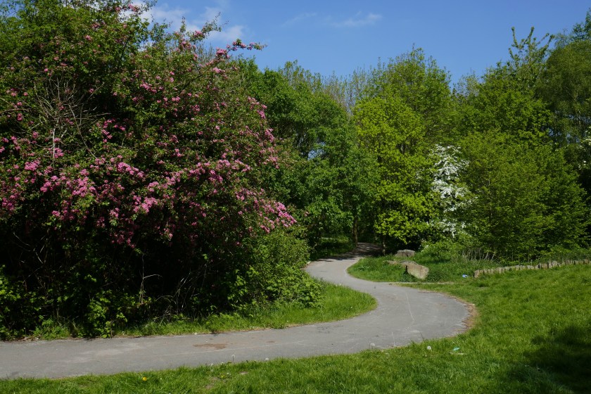 Livia Silverdale.JPG