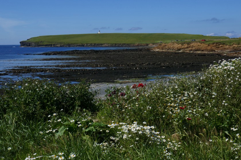 2017 July August Scotland (133) Birsay.JPG