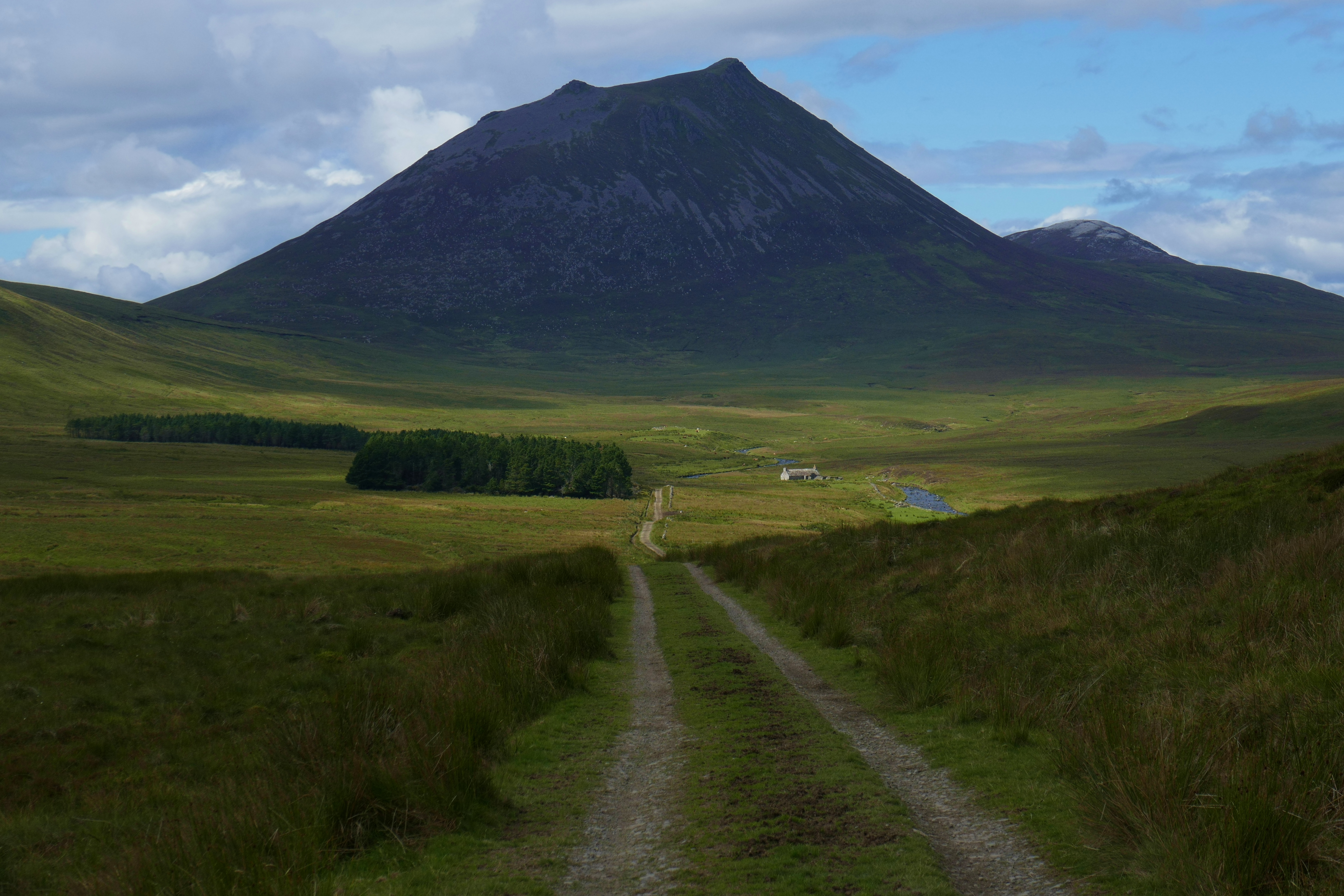 2017 July August Scotland (194) Morven.JPG