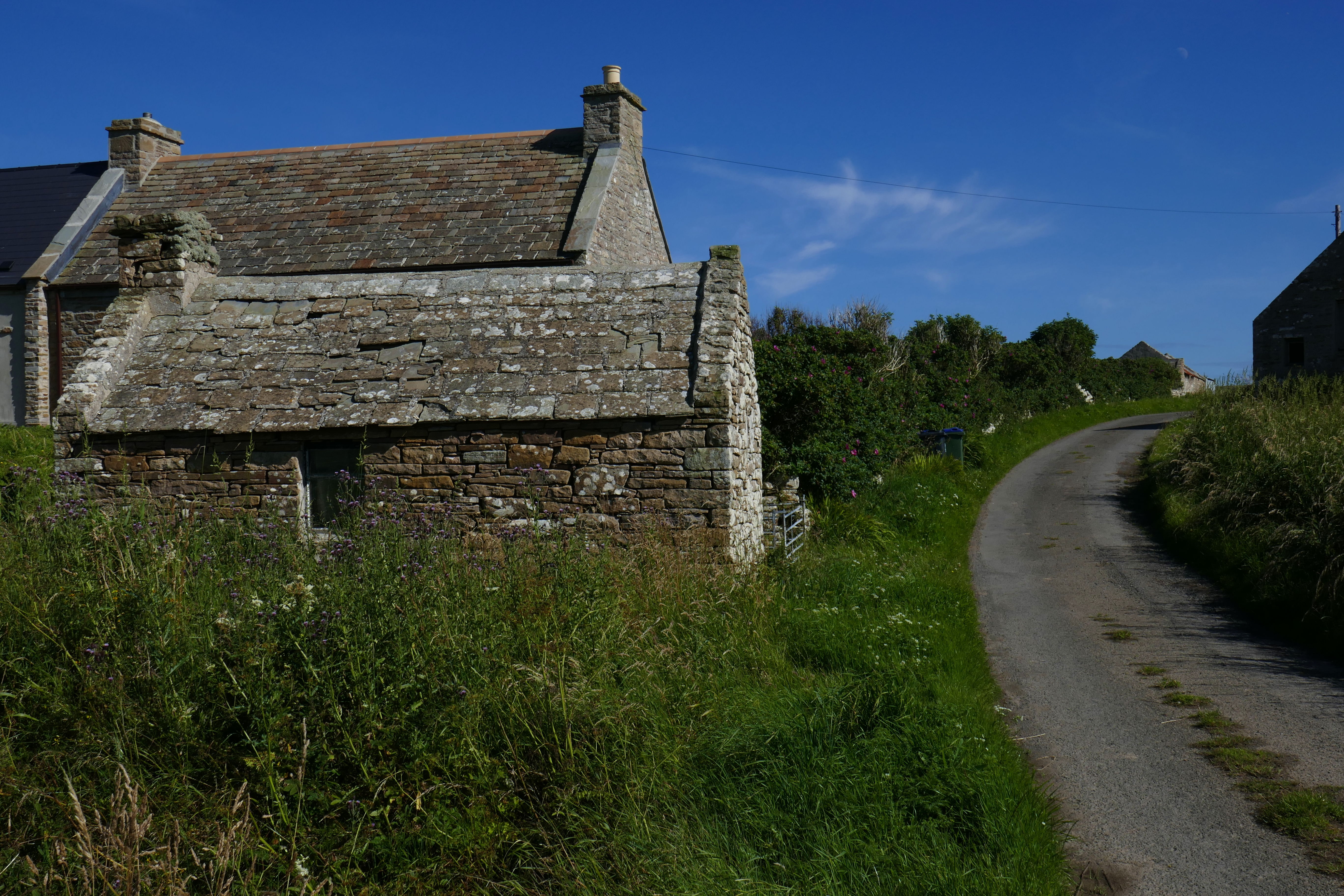 2017 July August Scotland (60) Wind Wick Sth Ronaldsay.JPG