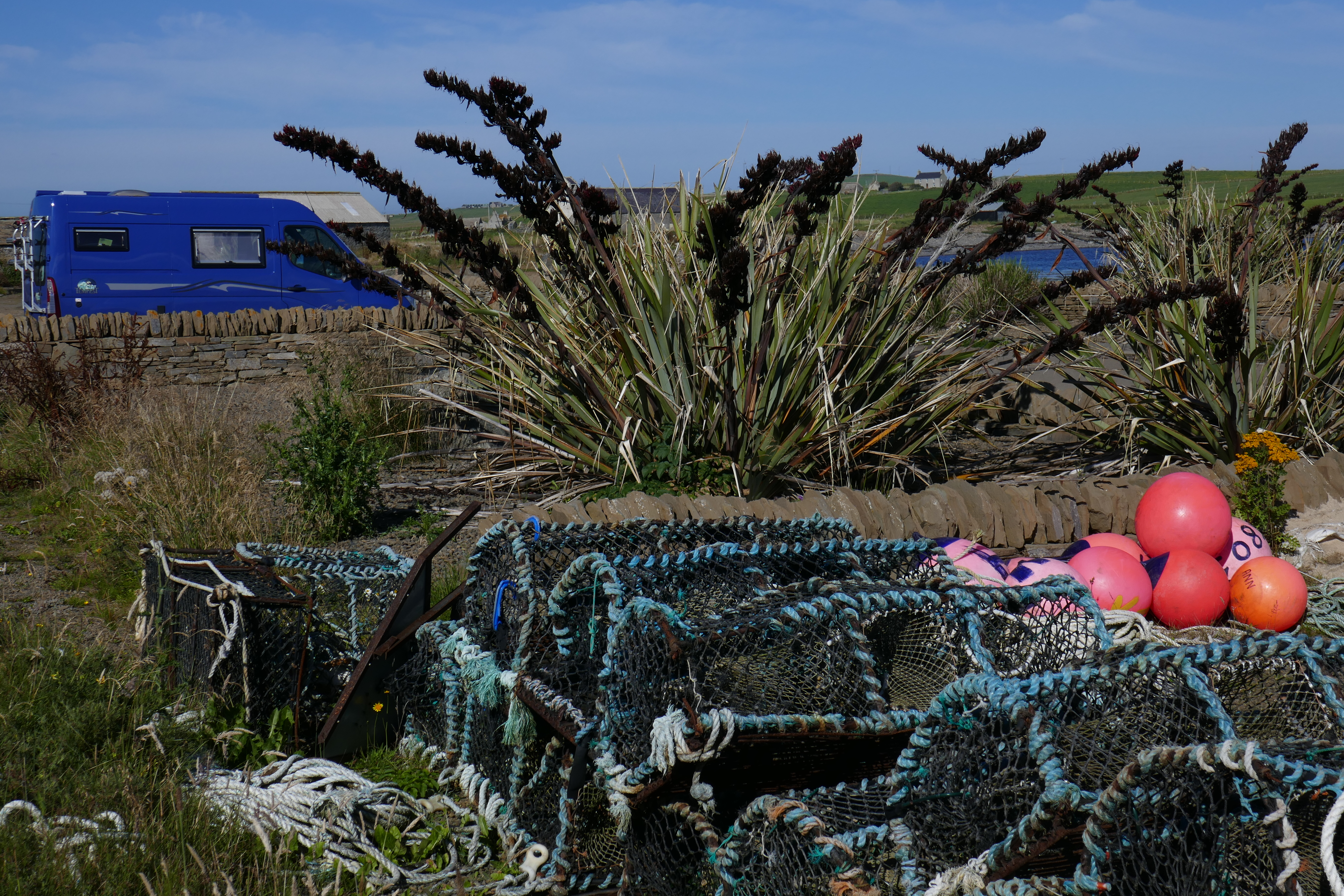 2017 July August Scotland (65) Burrwick.JPG