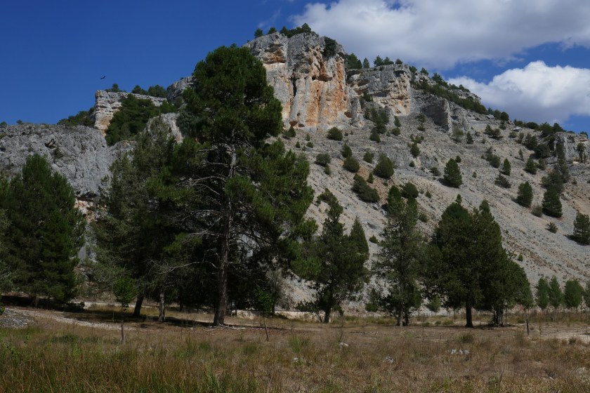 09.01 Canyon de Rio Lobos walk (33).JPG