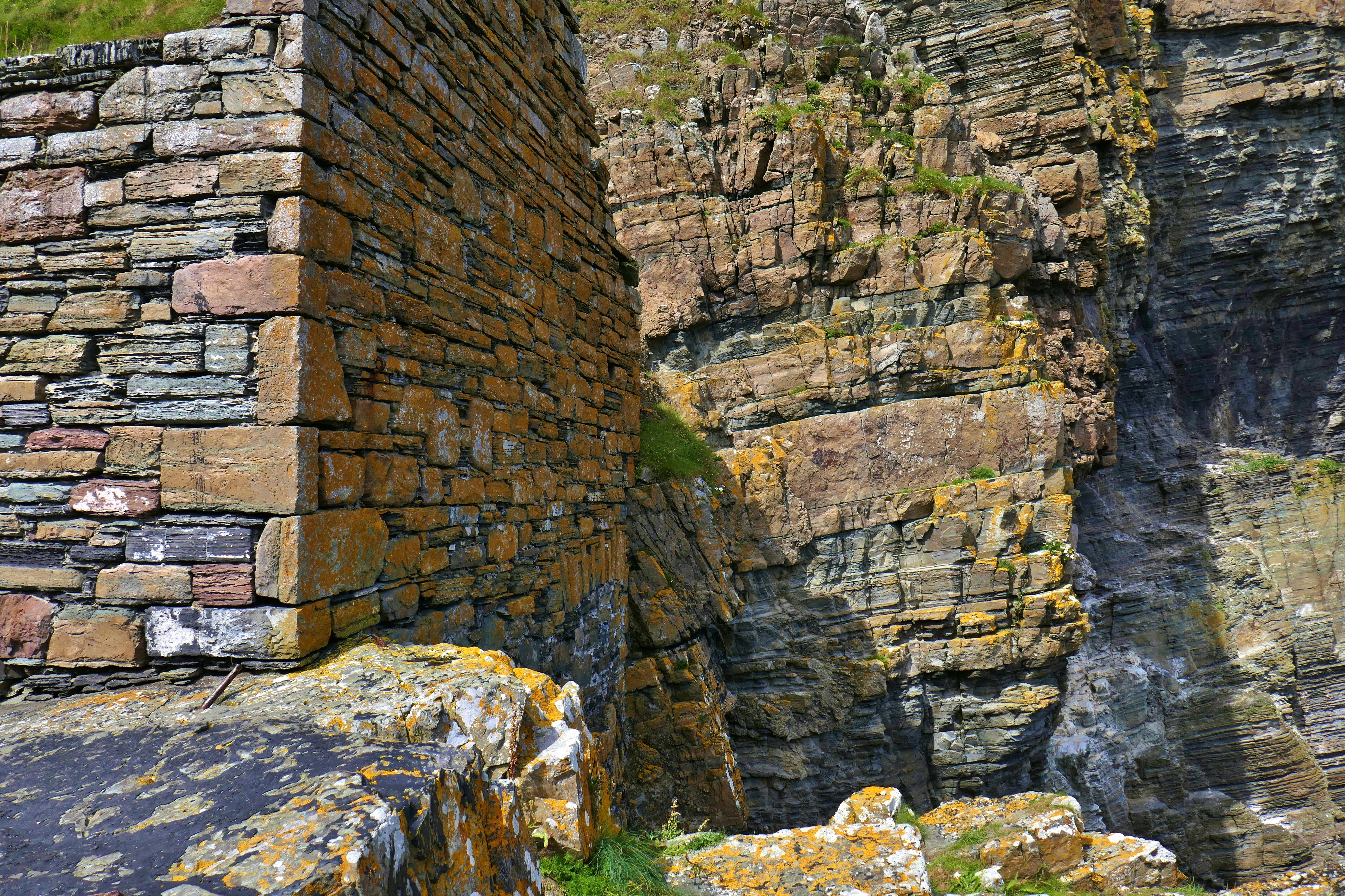 2017 July August Scotland (186) Whaligoe Steps.JPG