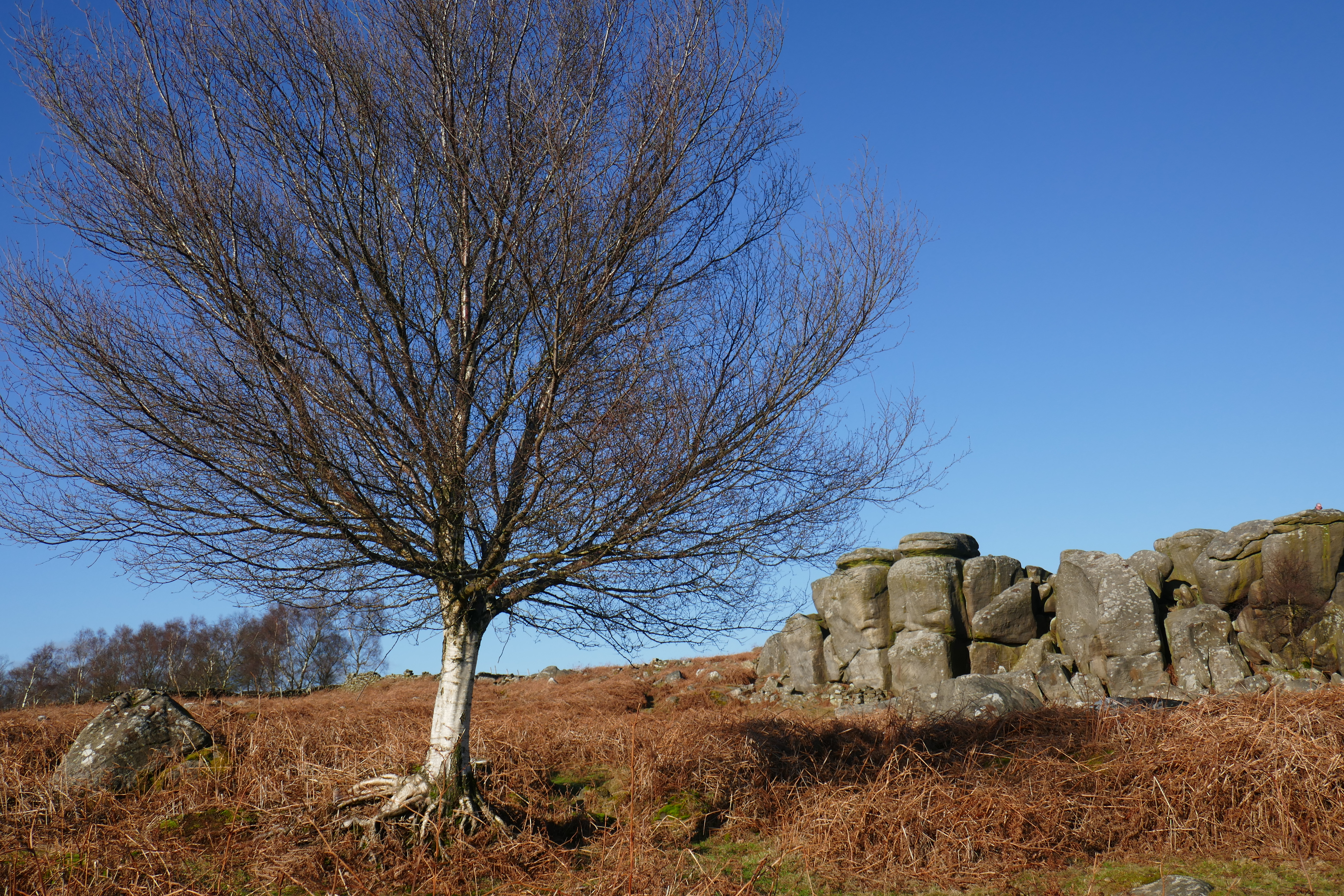 2018 Jan Chatsworth trip (7).JPG