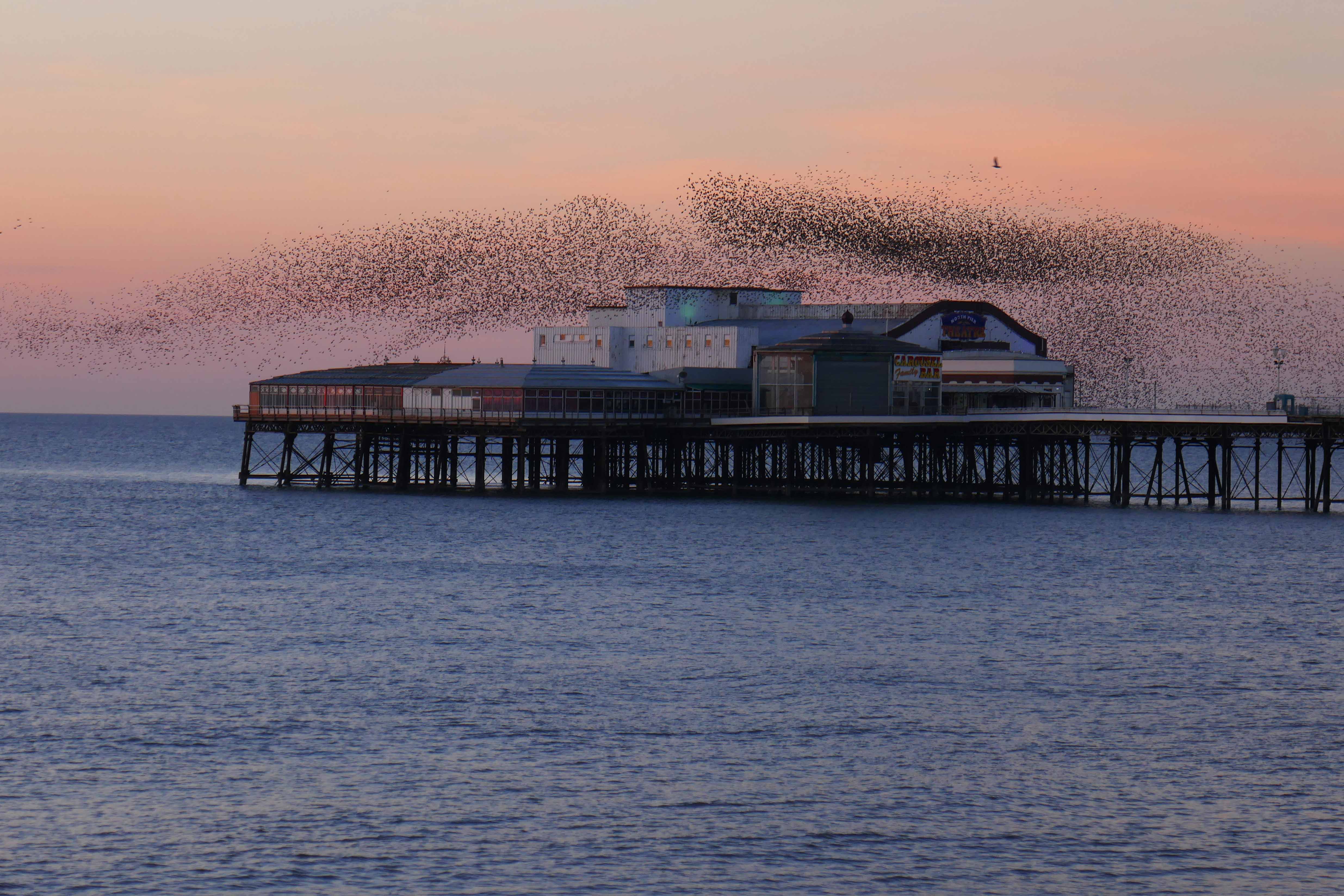 2018 Feb Blackpool weekend (67)