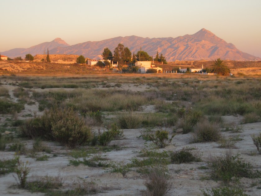 2411 Fortuna Cueva Negra 031