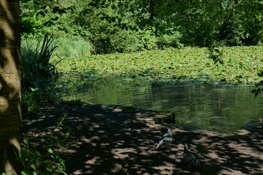 Lightoak Park July 2017 (1)