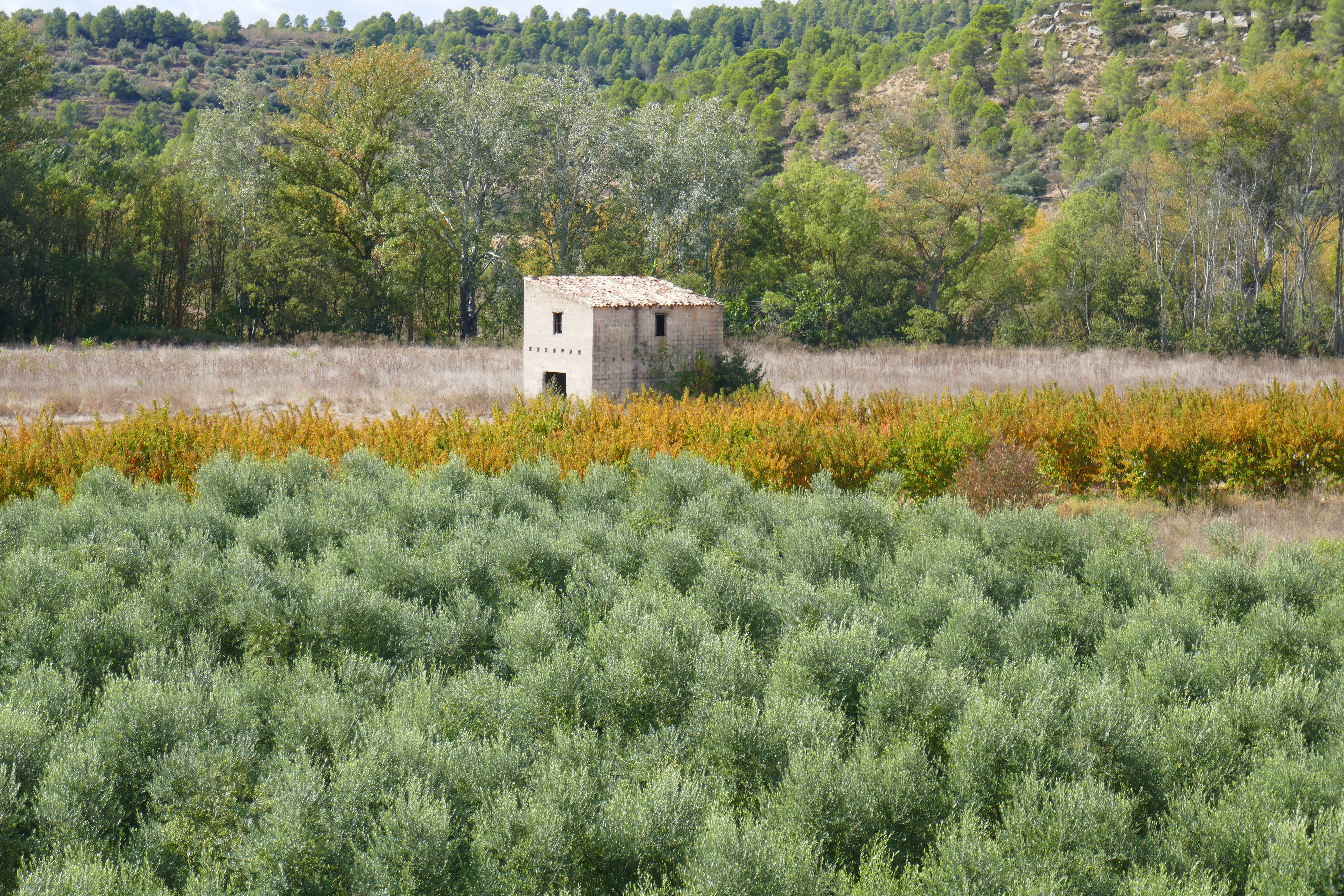 10.10.2018 Valderrobres cycle ride (10)