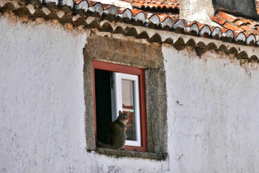 10.01 marvao walk small