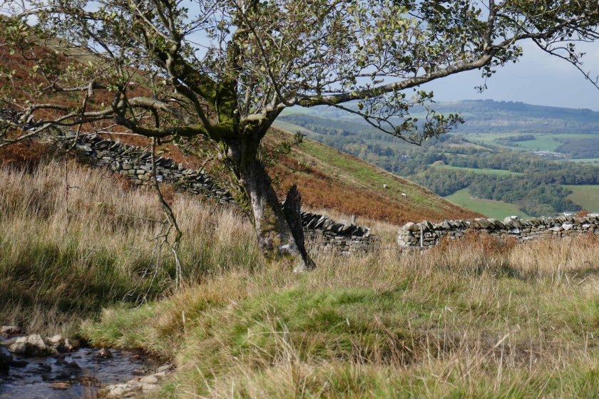 2016 Oct Lake District (1)