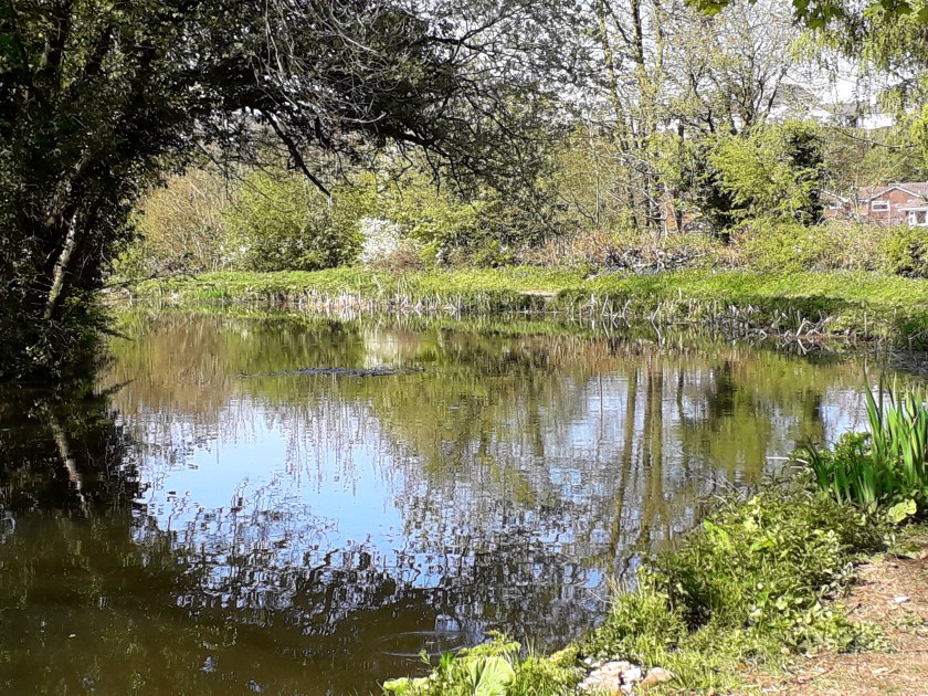 2020 March Canal cycle ride (1)