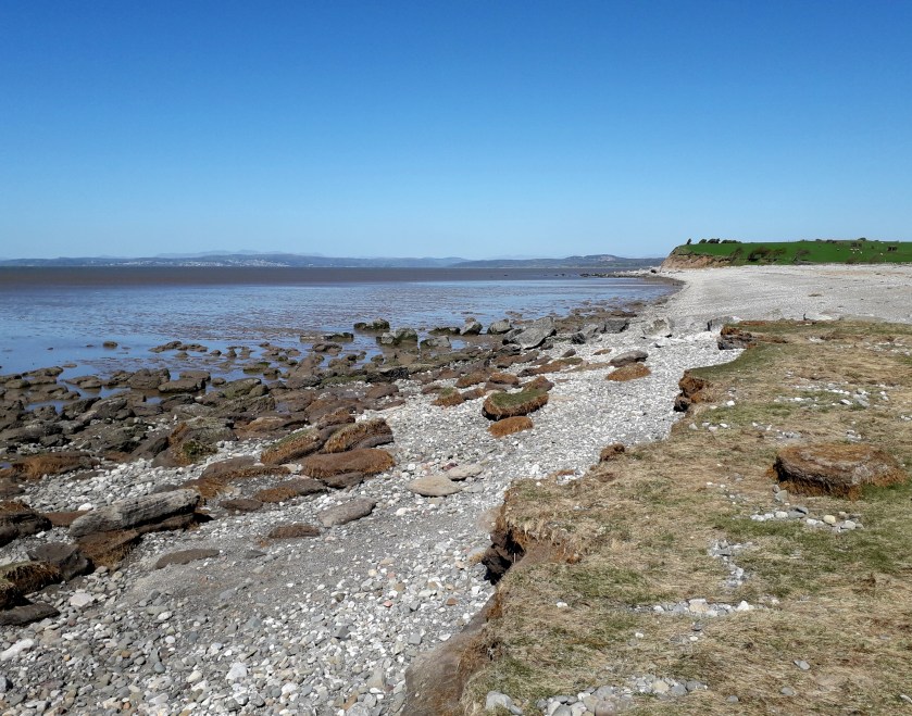 April 2020 Canal and Coast walk (5)